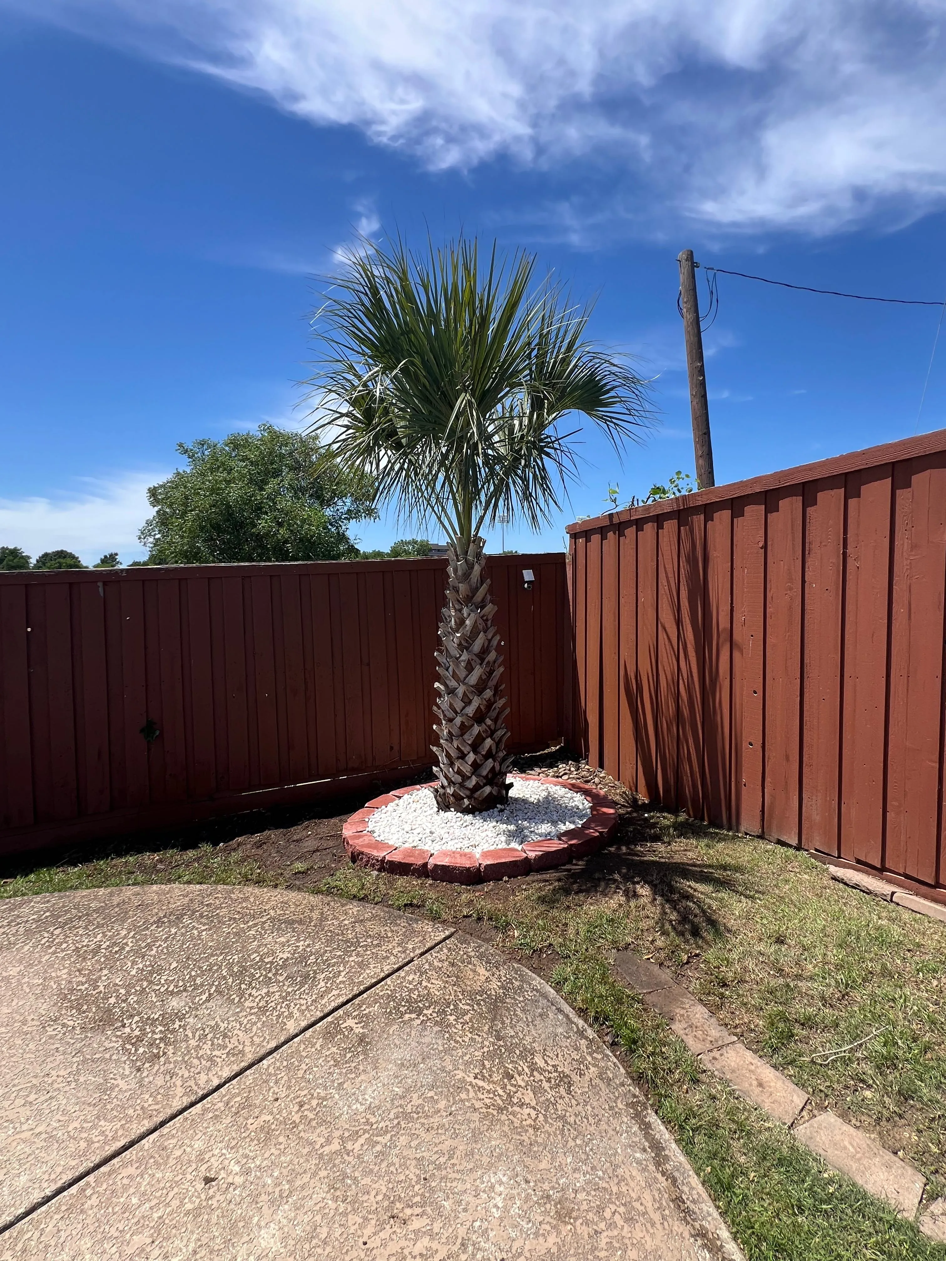 Tree Trimming